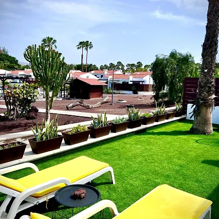 Escarabajo Il Maggiolino Maspalomas (Gran Canaria)